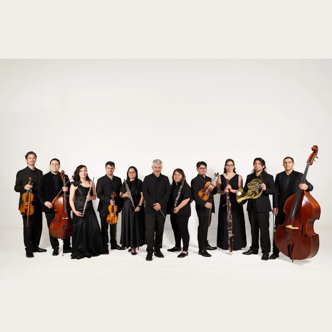 Grandes Invitados: Orquesta de Cámara de Valdivia