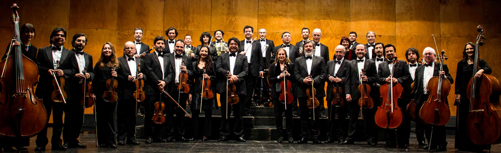 Concierto Orquesta de Cámara de Chile