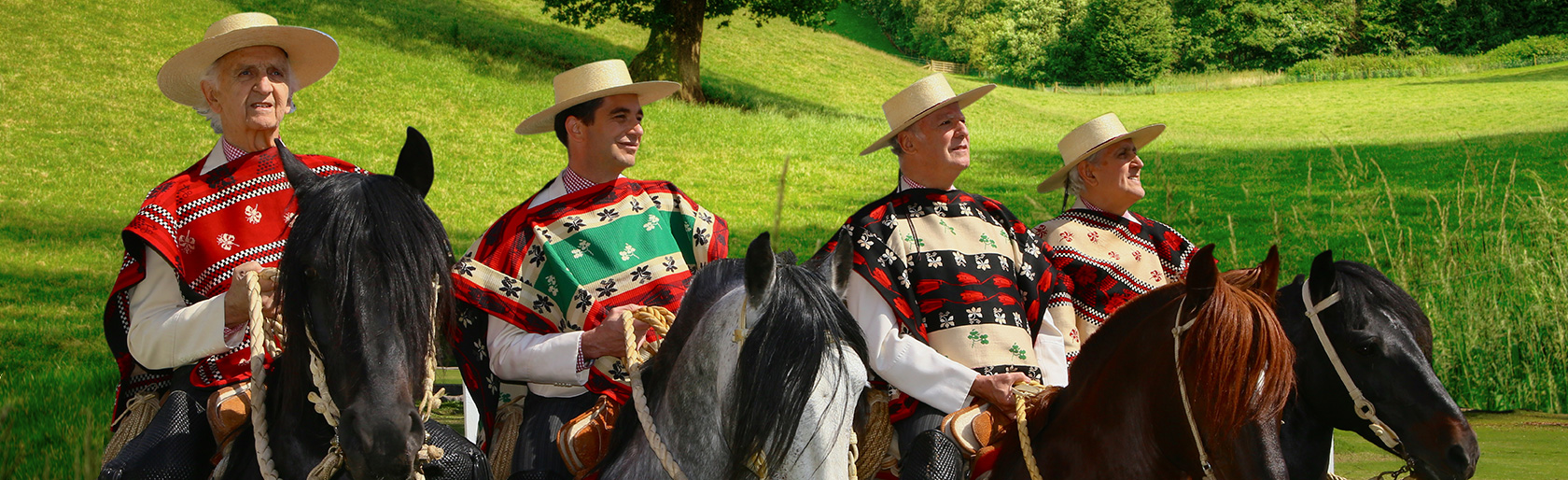 LOS HUASOS QUINCHEROS