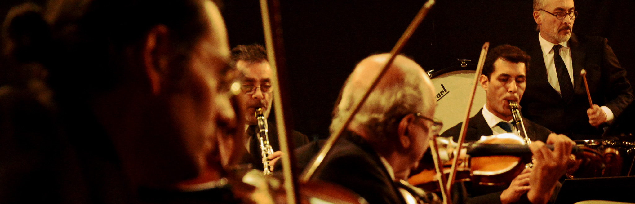 ORQUESTA DE CÁMARA DE CHILE